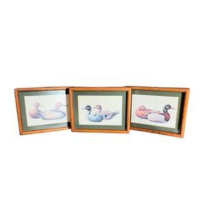 Arthur A. Kaplan Co. RF Harnett, Mid Century American Tail Duck Wood Framed Pict